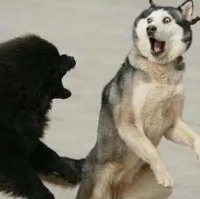 融资租赁公司如何注册设立条件-企贝网