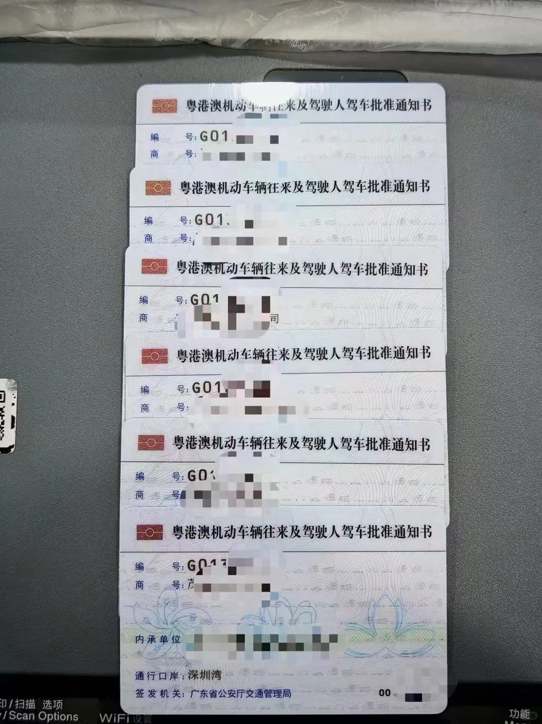 深圳湾，大桥，现牌-企贝网